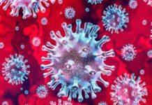 कोरोना के बढ़ते संक्रमण के चलते विधानसभा चुनावों को लेकर पैदा हुई संशय की स्थिति