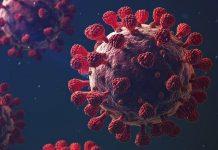 प्रदेश में बीते 24 घंटे में कोरोना के 2904 नए मामले