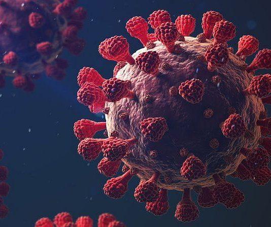 प्रदेश में बीते 24 घंटे में कोरोना के 2904 नए मामले