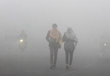 प्रदेश में एक फरवरी तक साफ रहेगा मौसम, ठंड में नहीं आएगी कमी