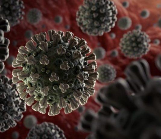 राज्य में लगातार बढ़ रहा कोरोना संक्रमण, 814 नए मामले दर्ज