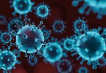 कोरोना के बढ़ते संक्रमण के चलते इस माह के अंत तक जारी रहेंगे कोविड प्रतिबन्ध