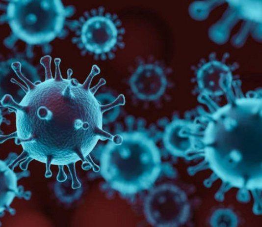 कोरोना के बढ़ते संक्रमण के चलते इस माह के अंत तक जारी रहेंगे कोविड प्रतिबन्ध