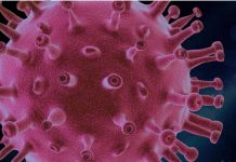 प्रदेश में आए कोरोना के 2127 नए मामले, देहरादून में सर्वाधिक रहा आंकड़ा