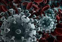 ओमिक्रोन के बढ़ते संक्रमण को देख, महाराष्ट्र सरकार ने किये पाबंदियों में नए बदलाव