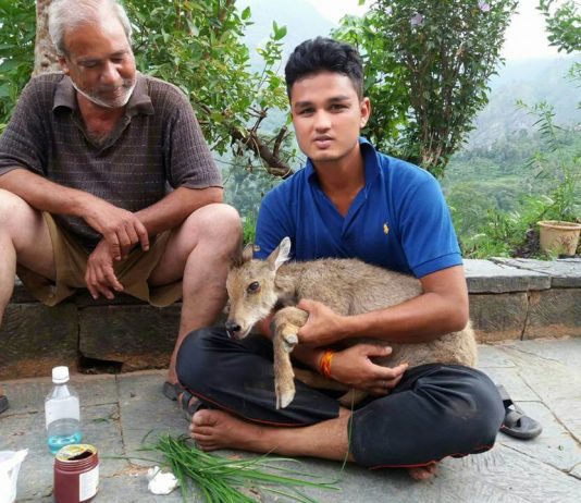 पिता के नक्शे कदम पर चलते हुए उत्तराखंड का नाम रौशन किया ,युवा पर्यावरण संसद के लिए हुआ चयन