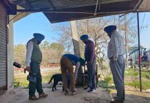 समाना- पटियाला रोड पर विस्फाेटक मिलने से फैली दहशत