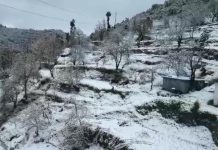 मौसम में बदलाव के कोई आसार नजर नहीं: मौसम विभाग