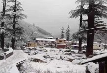 उत्तराखंड में मौसम ने ली फिर करवट, ऊंचे स्थानों पर जमकर हो रही बर्फबारी