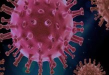 राज्य में धीमी हुई कोरोना की रफ़्तार, 24 घंटे में मिले 103 संक्रमित , 3 मरीजों की मौत