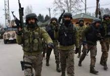 सार्वजनिक संपत्ति को नहीं हुआ नुकसान: नित्यानंद राय