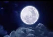 पृथ्वी की तरह चंद्रमा पर भी आते हैं भूकंप: डॉ. सुशील कुमार