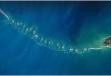 ‘रामसेतु’ को लेकर कोर्ट में फिर उठी मांग , कोर्ट ने केंद्र से मांगी राय