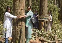 देहरादून में सड़क चौड़ीकरण के लिए हजारों पेड़ों को काटने के विरोध में चिपको आंदोलन