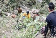 खाई में गिरा ट्रक, 2 लोगों की मौत 4 घायल