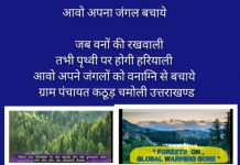 कठूड़ ग्राम पंचायत की अच्छी पहल, वनों को आग से बचाने को. मोबाइलों पर भेज रहे जागरूकता संदेश