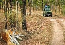 कॉर्बेट टाइगर रिजर्व में अवैध कटान और निर्माण सहित तमाम अनियमितताओं को लेकर सरकार का बड़ा कदम