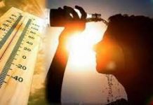 मैदानी जिलों में अगले दो दिन पड़ेगी भीषण गर्मी