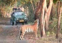 कॉर्बेट नेशनल पार्क में वन अग्नि को लेकर अलर्ट जारी, सुरक्षा के कड़े इंतजाम