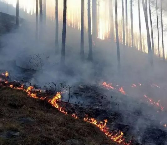 उतराखंड मे लगातार बढ़ रही वनग्नि की घटनाएं