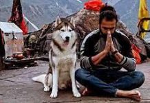 केदारनाथ धाम में धार्मिक भावनाओं को ठेस पहुंचाने वाला वीडियो वायरल