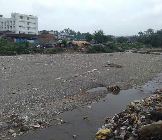 दून की मैड संस्था ने किया रिस्पना व बिंदाल नदियों पर एलिवेटेड रोड का विरोध