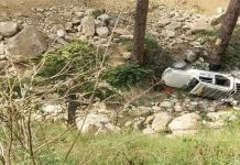 खाई में गिरी यूटिलिटी,पांच लोगों की मौत तीन घायल