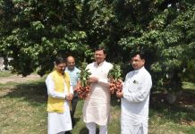 देहरादून की लीची की अलग पहचान, यह पहचान बनी रहनी चाहिए: सीएम धामी