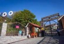 केंद्र ने जू को फारेस्ट्री एक्टिविटी किया घोषित