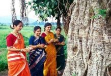 वट सावित्री पूर्णिमा आज, जानिए खास संयोग