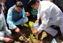 मुख्यमंत्री धामी ने हरेला पर्व के अवसर पर जागेश्वर धाम परिसर में किया पौधारोपण, श्रावणी मेले का भी किया शुभारंभ