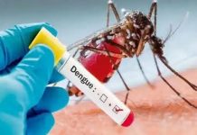 मुख्य सचिव ने सभी विभागों को डेंगू से निपटने की तैयारी करने के दिए निर्देश