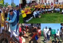 प्रदेश में हरेला लोकपर्व का उत्सव शुरू, सीएम धामी ने दी प्रदेशवासियों को बधाई