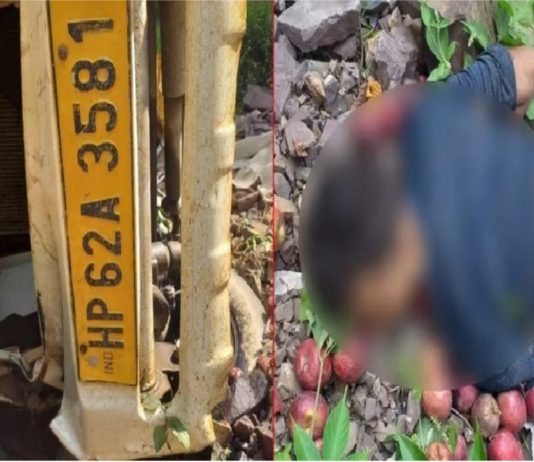 हिमाचल से सेब लेकर आ रहा वाहन खाई में गिरा, चालक की मौत