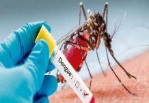 डेंगू से सावधान, 300 पार हुई मरीजों की संख्या