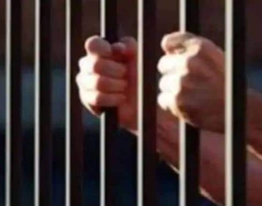 आईआईटी रुड़की के पूर्व असिस्टेंट प्रोफेसर को फर्जीवाड़े के चलते तीन साल की जेल