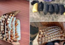 सुरक्षाबालों ने पाकिस्तान के नापाक इरादों पर फेरा पानी, 38 करोड़ के ड्रग्स पकड़े