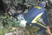 ऋषिकेश-बद्रीनाथ राजमार्ग पर हुआ हादसा, एसडीआरएफ की टीम ने चलाया रेस्क्यू अभियान