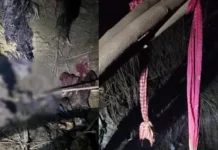 सुसाइड या हत्या?… हरिद्वार में मिले दो कंकाल