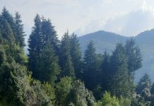 घास काटने की मशीन से महिलाओं के जीवन में आया नया सवेरा