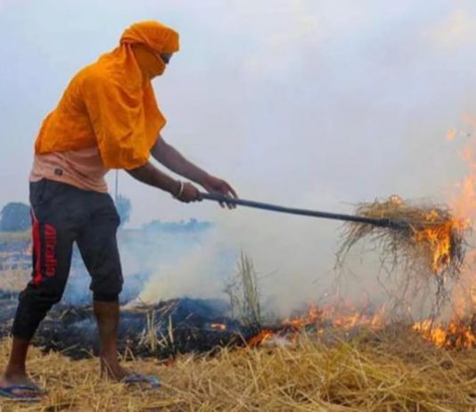 पराली जलाने के मामले में अव्वल नंबर में आया पंजाब