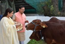 इगास के अवसर पर सीएम धामी ने धर्मपत्नी के साथ किया गौ-पूजन
