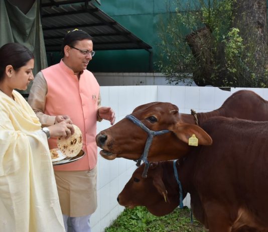 इगास के अवसर पर सीएम धामी ने धर्मपत्नी के साथ किया गौ-पूजन
