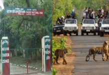 राजाजी टाइगर रिजर्व पर्यटकों के स्वागत के लिए तैयार
