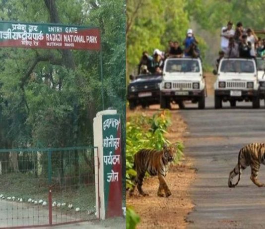 राजाजी टाइगर रिजर्व पर्यटकों के स्वागत के लिए तैयार