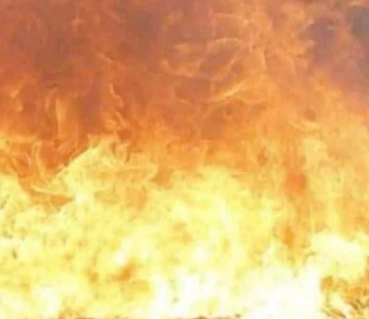 कारखाने में आग लगने से मची अफरा-तफरी, चौकीदार की जिंदा जलकर मौत