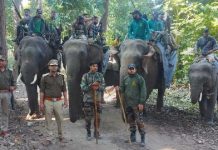 राजाजी टाइगर रिजर्व में रेड अलर्ट जारी