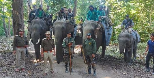 राजाजी टाइगर रिजर्व में रेड अलर्ट जारी