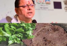 भारत सरकार ने मोटे अनाज के प्रोक्यूरमेंट की दी अनुमति, सीएम धामी ने किया आभार व्यक्त