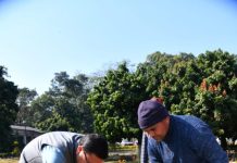 सीएम धामी ने ट्यूलिप की 13 प्रजातियों का किया रोपण